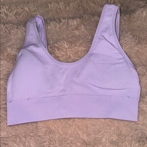 Aerie Purple Seamless Sports Bra